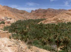 Draa-Tal zwischen Ouarzazate und Tineghir - Rundreisen Marokko